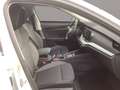 Skoda Octavia Combi Selection 1,5 TSI mHEV 110 kW 7-Gang-DSG Weiß - thumbnail 30