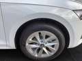 Skoda Octavia Combi Selection 1,5 TSI mHEV 110 kW 7-Gang-DSG Weiß - thumbnail 5