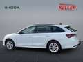 Skoda Octavia Combi Selection 1,5 TSI mHEV 110 kW 7-Gang-DSG Weiß - thumbnail 8