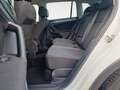 Volkswagen Tiguan 1.5 TSI BMT Active Matrix ACC AHK KlimaA Weiß - thumbnail 9