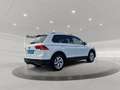 Volkswagen Tiguan 1.5 TSI BMT Active Matrix ACC AHK KlimaA Weiß - thumbnail 4