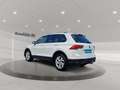 Volkswagen Tiguan 1.5 TSI BMT Active Matrix ACC AHK KlimaA Weiß - thumbnail 4