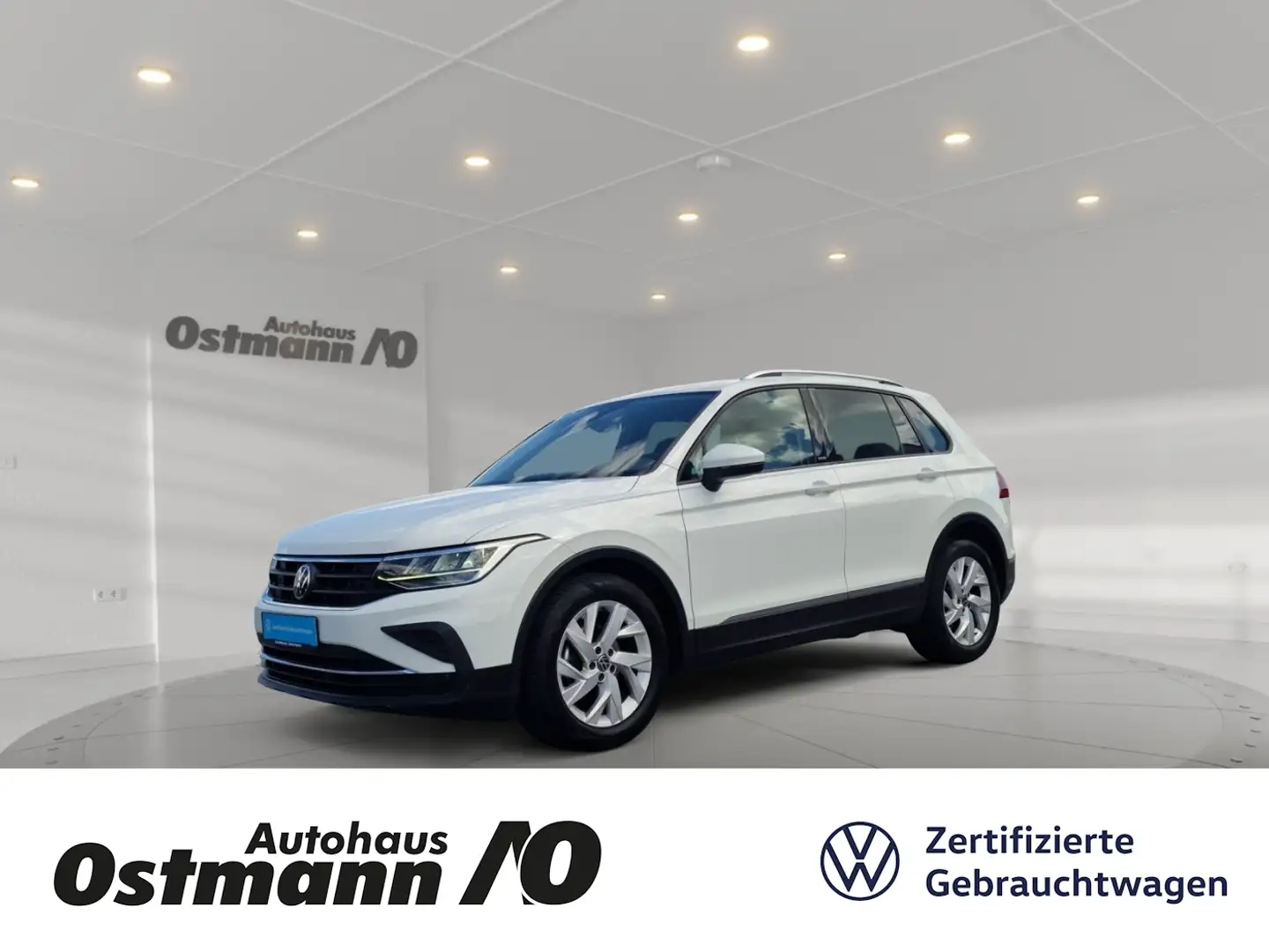 Volkswagen Tiguan 1.5 TSI BMT Active Matrix ACC AHK KlimaA Weiß - 1