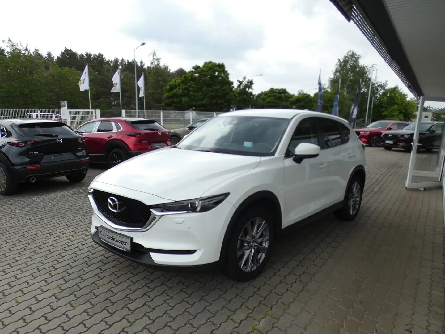 Mazda CX-5 SKYACTIV-D 150 FWD 5T 6GS AL-KANGEI Weiß - 2