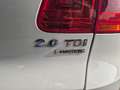 Volkswagen Tiguan 2.0 TDI 140 CV 4MOTION Track & Style Bianco - thumbnail 15
