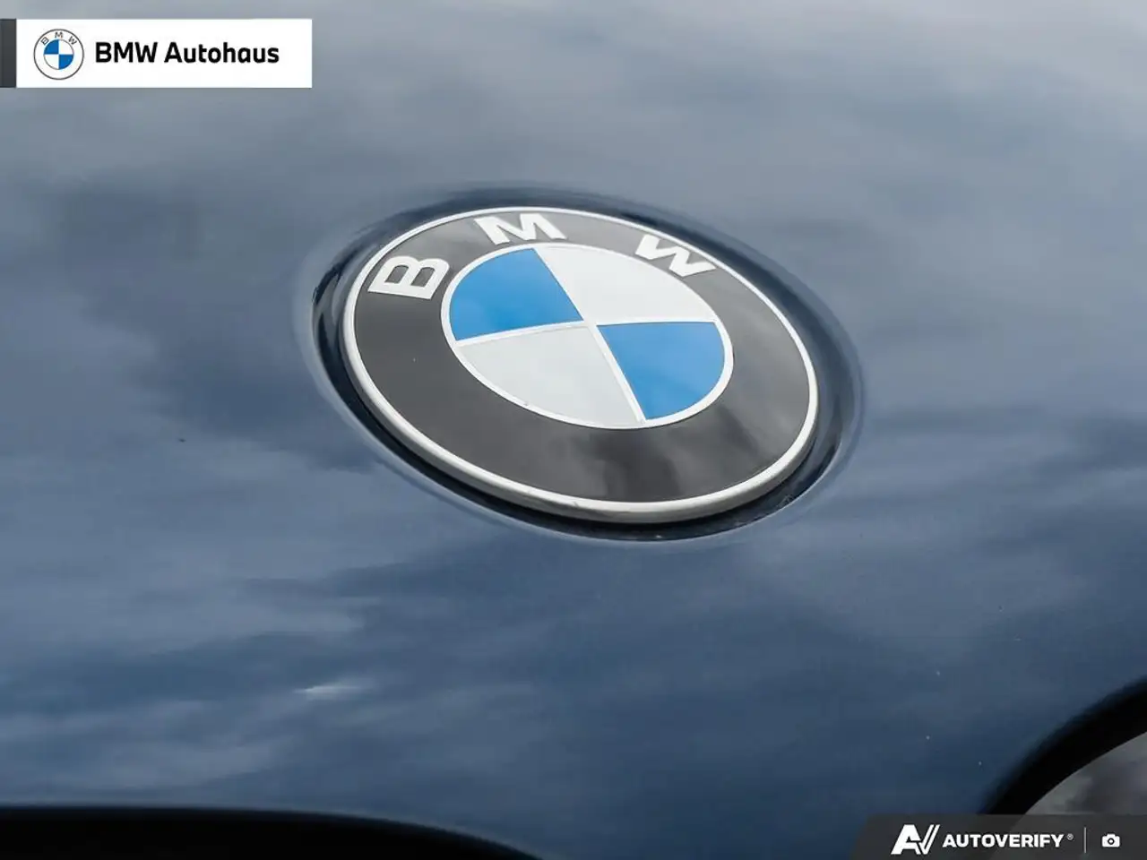 BMW X5 photo BMW X5