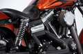 Harley-Davidson Dyna Wide Glide Orange - thumbnail 11