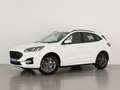 Ford Kuga 2.5 Duratec FHEV ST-Line AWD Aut. Blanc - thumbnail 1