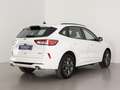 Ford Kuga 2.5 Duratec FHEV ST-Line AWD Aut. Blanc - thumbnail 5