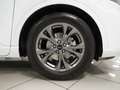 Ford Kuga 2.5 Duratec FHEV ST-Line AWD Aut. Blanc - thumbnail 15