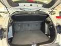 Suzuki S-Cross AllGrip 4x4 TOP PLUS -Perfetta Blanc - thumbnail 5