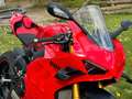 Ducati Panigale V4 S Facelift 1 Hand Red - thumbnail 6