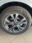 Ford Kuga Kuga 2.5 Full Hybrid 190 CV CVT 2WD ST-Line Grigio - thumbnail 10