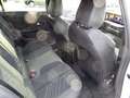Opel Astra 1,2 Turbo MHEV Ultimate Aut. Weiß - thumbnail 22