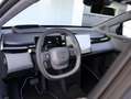 Zeekr X AWD Privilege 69 kWh | 428 PK | Panoramadak | stoe Vert - thumbnail 8