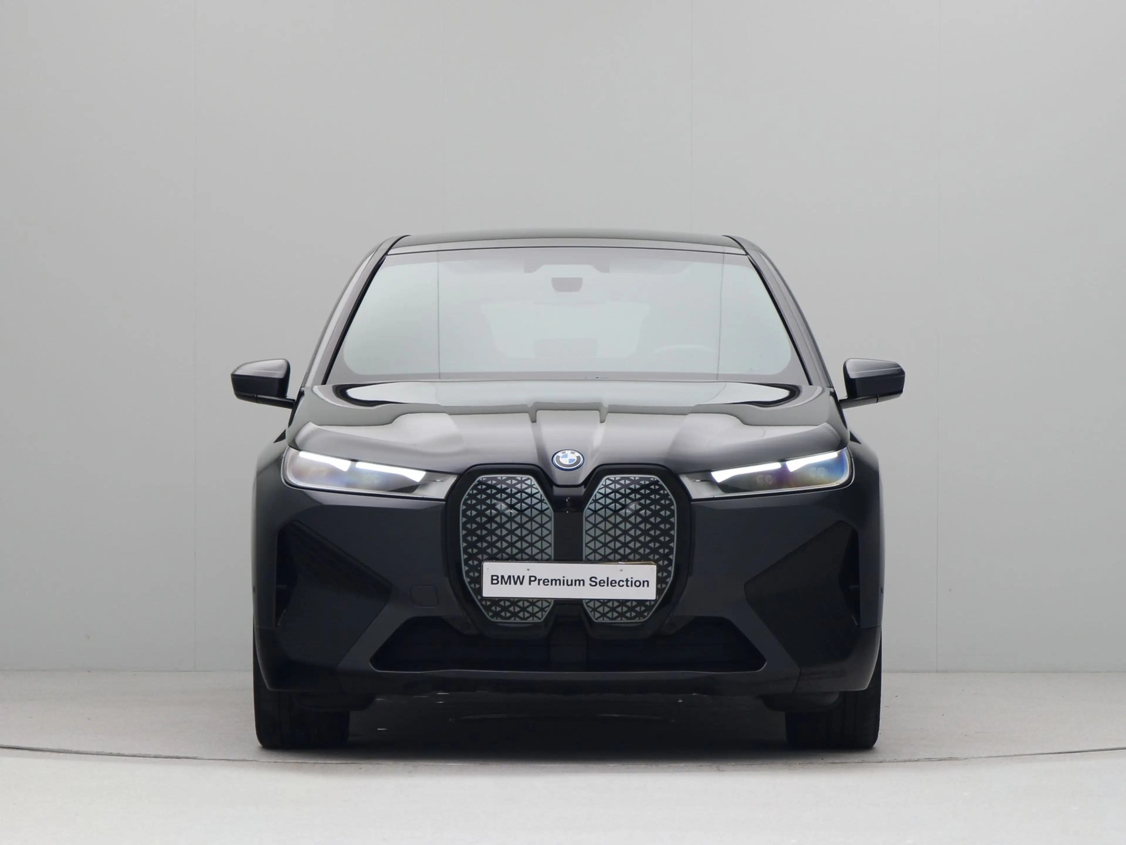 BMW iX xDrive40 Executive 77 kWh — photo 5