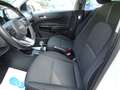 Kia Picanto 1.2 Spirit Automatik, Navi Paket Weiß - thumbnail 7