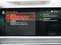 BMW X7 xDr 40d M-Sport M-Sitze/Sitzkli/Massa/SKY/EDP Grau - thumbnail 39