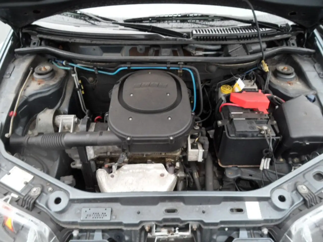 Fiat Punto 1.2 8V SX. Klima, foto 12
