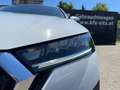 Skoda Octavia Combi 2,0 TDI Style DSG | HUD/CANTON/RFK Weiß - thumbnail 37