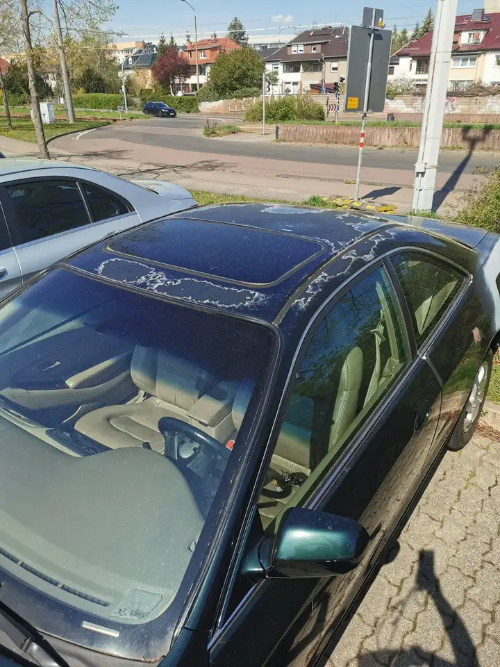 Honda Accord Coupe 2.0is, foto 5