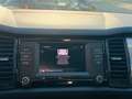 Skoda Kodiaq Sitzheizung PDC Grau - thumbnail 22