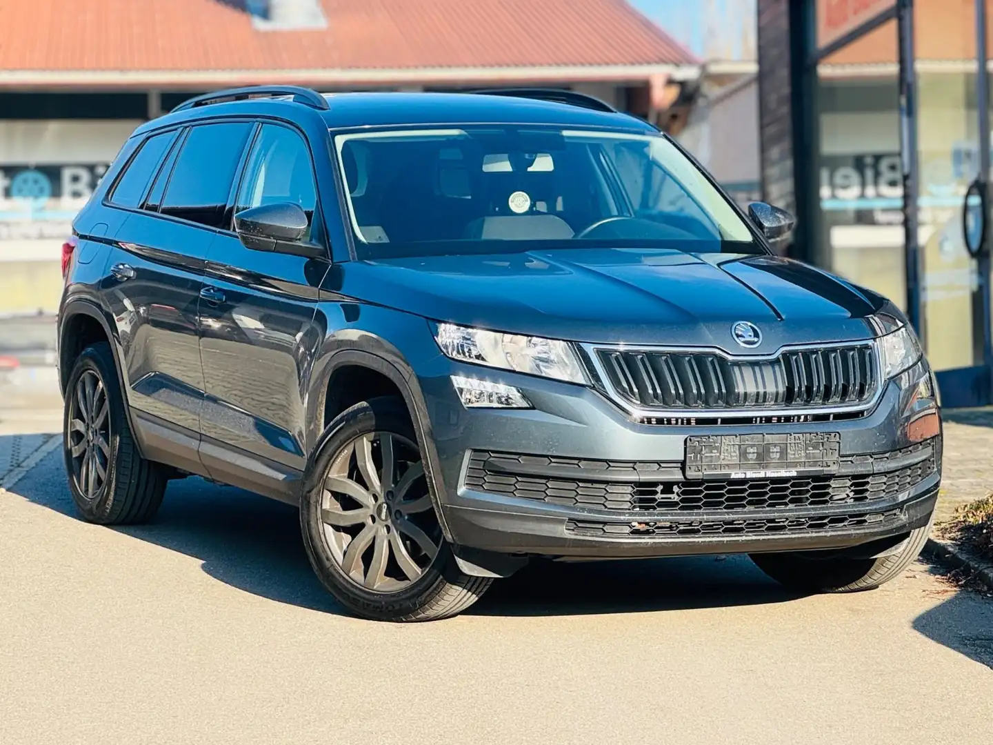 Skoda Kodiaq Sitzheizung PDC Grau - 1