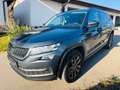 Skoda Kodiaq Sitzheizung PDC Grau - thumbnail 3