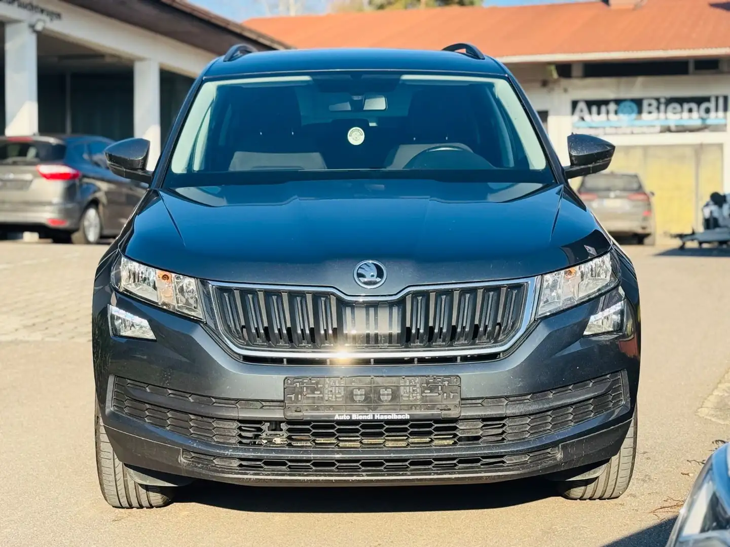 Skoda Kodiaq Sitzheizung PDC Grau - 2