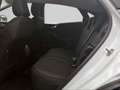 Ford Puma 1.0 Titanium #LED #NAVI #SITZHZG #PDC Blanc - thumbnail 13