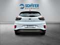 Ford Puma 1.0 Titanium #LED #NAVI #SITZHZG #PDC Blanc - thumbnail 6