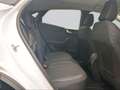 Ford Puma 1.0 Titanium #LED #NAVI #SITZHZG #PDC Blanc - thumbnail 16