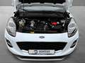 Ford Puma 1.0 Titanium #LED #NAVI #SITZHZG #PDC Blanc - thumbnail 17