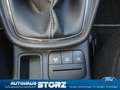 Ford Puma Titanium AHK ABNHEMBAR|WINTER PAKET|NAVI|CARPLAY| Blau - thumbnail 14