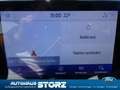 Ford Puma Titanium AHK ABNHEMBAR|WINTER PAKET|NAVI|CARPLAY| Blau - thumbnail 12