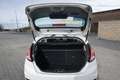 Ford Fiesta 1.5 TDCi Trend Blanco - thumbnail 10