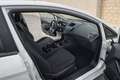 Ford Fiesta 1.5 TDCi Trend Blanco - thumbnail 8