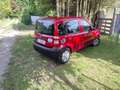Fiat Panda 1.1 Ltr. TÜV  bis 01.2026.. Rot - thumbnail 2