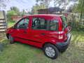 Fiat Panda 1.1 Ltr. TÜV  bis 01.2026.. Rot - thumbnail 1