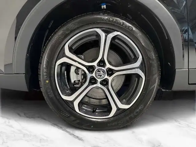 MG ZS view 8