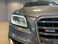 Audi SQ5 SQ5 TDI Grau - thumbnail 24