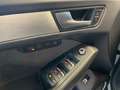 Audi SQ5 SQ5 TDI Grau - thumbnail 15