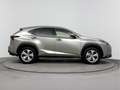 Lexus NX 300h AWD President Line | Mark-Levinson | Trekhaak | 36 Grau - thumbnail 12