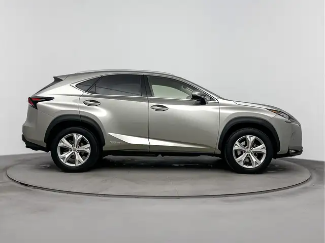 Lexus NX view 12
