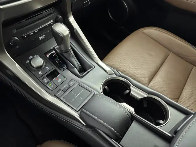 Lexus NX view 11