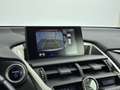Lexus NX 300h AWD President Line | Mark-Levinson | Trekhaak | 36 Grau - thumbnail 8