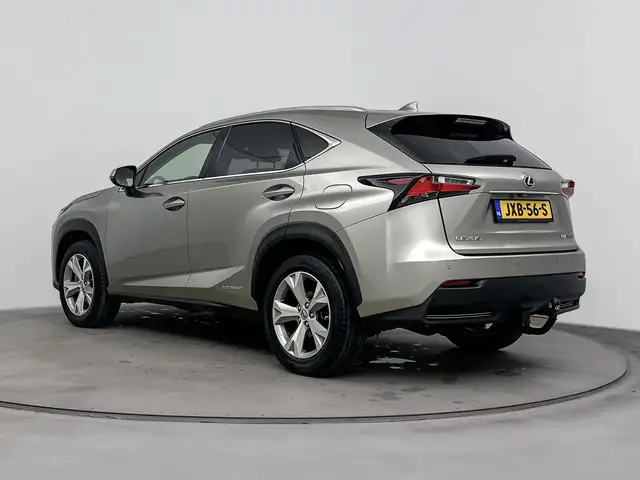 Lexus NX view 14