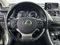 Lexus NX 300h AWD President Line | Mark-Levinson | Trekhaak | 36 Grau - thumbnail 18