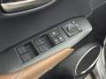 Lexus NX 300h AWD President Line | Mark-Levinson | Trekhaak | 36 Grau - thumbnail 23
