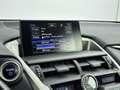 Lexus NX 300h AWD President Line | Mark-Levinson | Trekhaak | 36 Grau - thumbnail 20